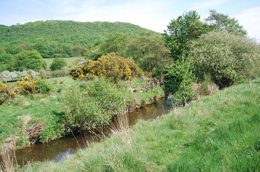 image 46